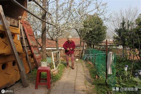 農家小院|農家小院改造和賺錢兩不誤，你也想住在這樣的地方嗎《農家小院。